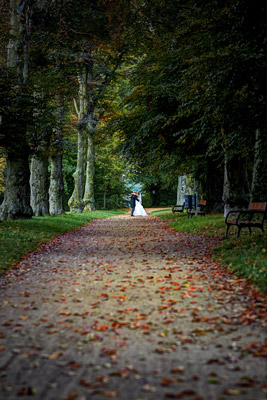 der Kuß im Schloßpark Machern Hochzeitsfotograf Borna